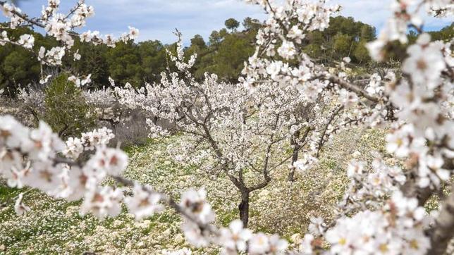 Temperaturas primaverales en media España