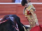Directo: El Juli y Perera cortan un rabo  en el festival taurino de Albacete