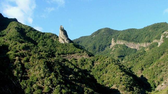 Las empresas españolas, al servicio del capital natural