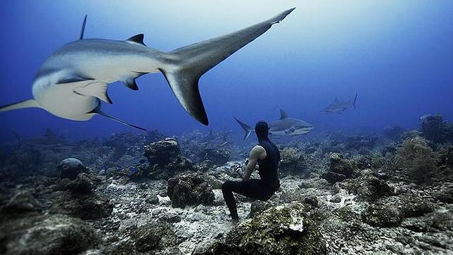 Qué pasa durante 4' 30" sin respirar a 100 metros bajo el mar