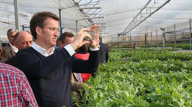 Feijóo, en un semillero de Almería el viernes, antes de partir hacia Argentina