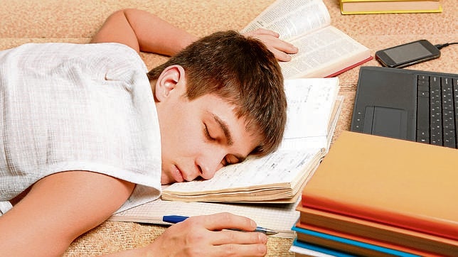 Podremos aprender durante el sueño y recordar durante el día?