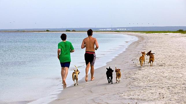 La calidad del semen es un marcador del estado de salud general