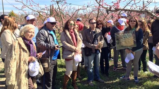 Turismo acerca la floración de Cieza a periodistas y agentes de viajes del país