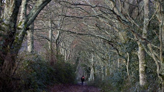 Tres días de búsqueda y propuestas en torno al Camino de Santiago