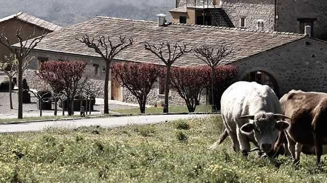 Diez restaurantes de menú degustación en Barcelona y alrededores