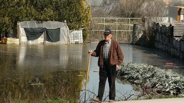 La crecida del Ebro y de varios de sus afluentes han vuelto a inundar campos ribereños en Aragón