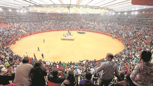 Los menores de 16 años podrán participar en los encierros de vaquillas en Aragón