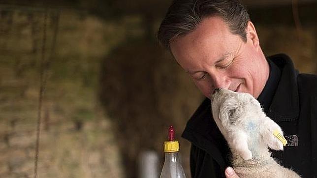 El lado más tierno de David Cameron junto a un corderito