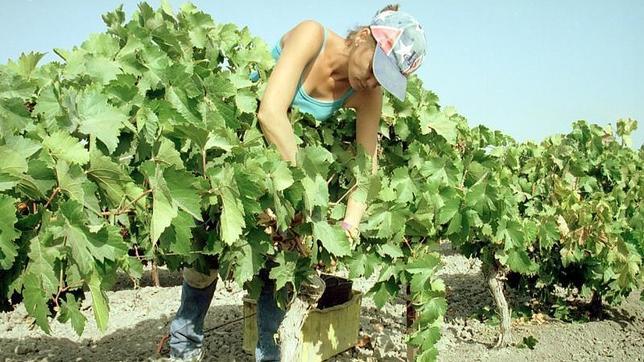 Las mujeres que viven en zonas rurales tienen menor riesgo de depresión