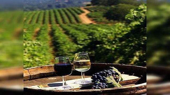 Los países más borrachos del mundo