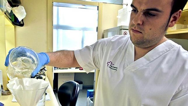 Un fármaco contra la leucemia también permite «atacar» el cáncer de páncreas