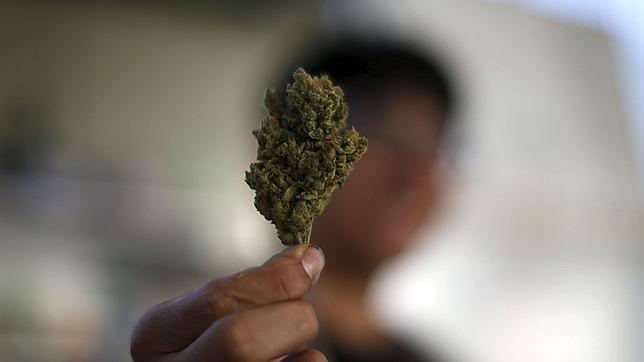 Ciudadanos dice que regularizar drogas blandas como el cannabis «no es un tema prioritario»