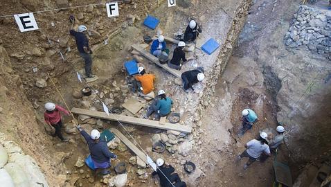 Identifican por primera vez un homínido de Atapuerca con un molar de más