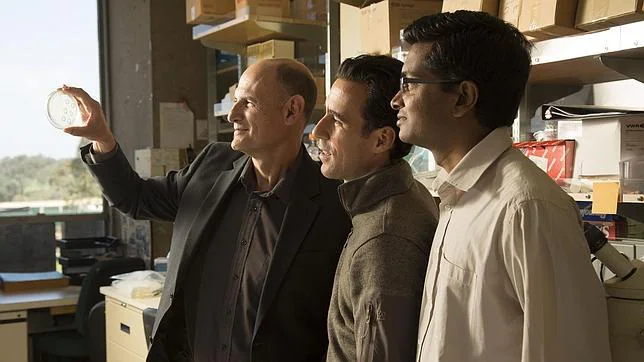 De izquierda a derecha, los investigadores Juan Carlos Izpisúa, Alejandro Ocampo y Pradeep Reddy, en el Instituto Salk donde han desarrollado la técnica