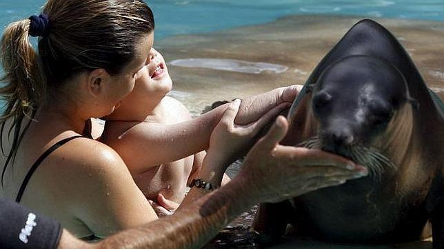 Las causas exactas del autismo se desconocen. Probablemente sea una combinación de factores la que lo provoca