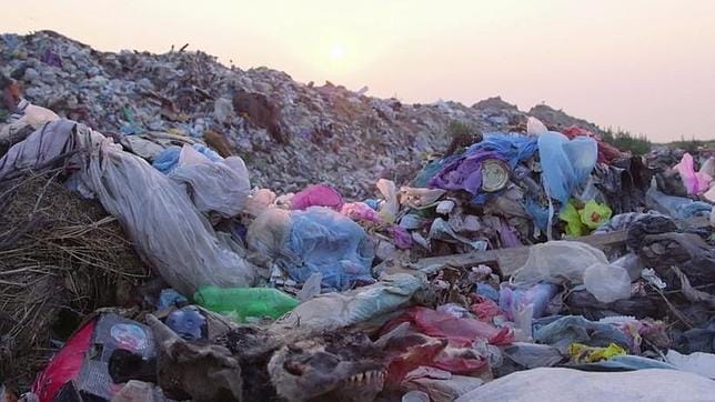 Hong Kong, la ciudad más sucia del mundo, revela las caras de los que tiran basura