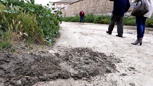 Sanidad asume la tutela del bebé abandonado por su madre en Gálvez