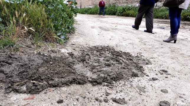 En libertad la madre de la bebé abandonada en Gálvez al nacer