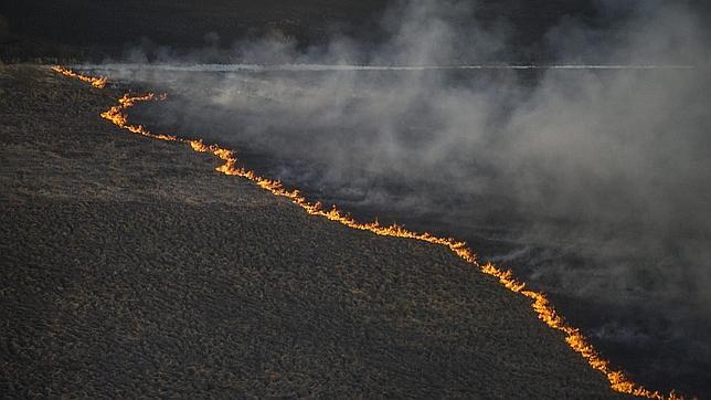 Alerta en Ucrania por un gigantesco incendio que avanza hacia Chernóbil