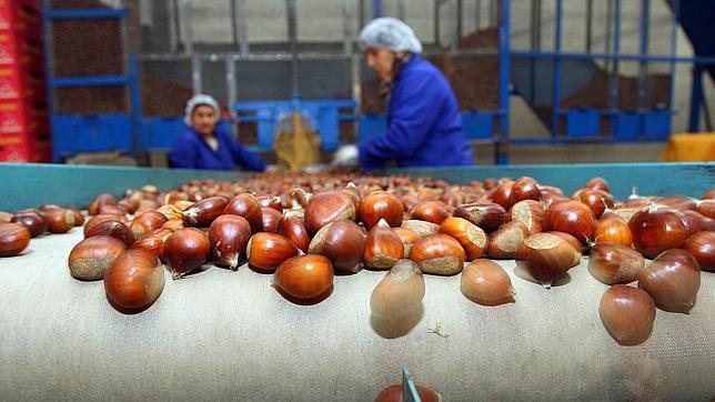 Una apuesta segura para el medio rural