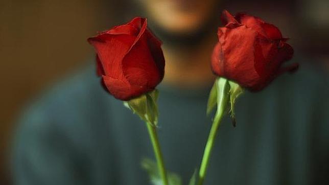 Dos rosas rojas, símolo de la pasión