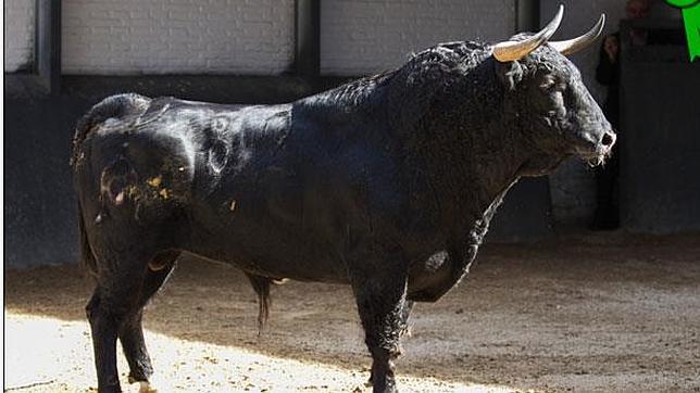 «Víbora» abre la segunda corrida de San Isidro