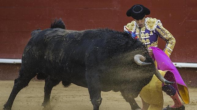 Alejandro Talavante, a hombros en el 50 aniversario de Los Califas