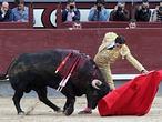Directo: ¡qué gran toro el ensabanado segundo!