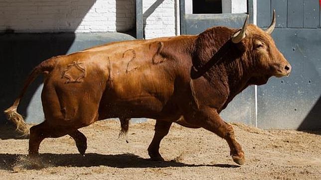 Los de Valdefresno, listos para salir al ruedo de Las Ventas