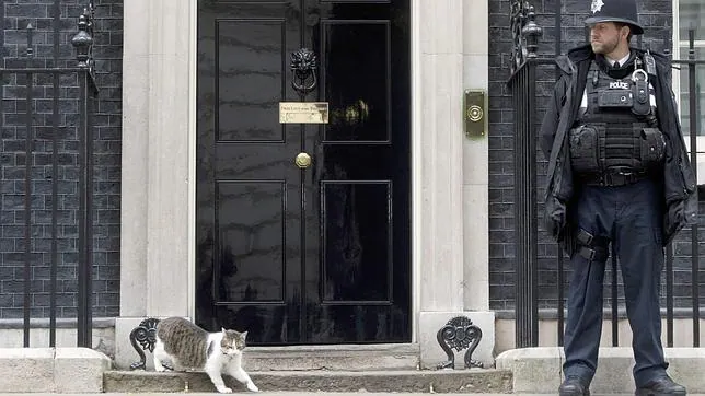 El gato de Cameron en la puerta de su residencia en el 10 de Downing Street
