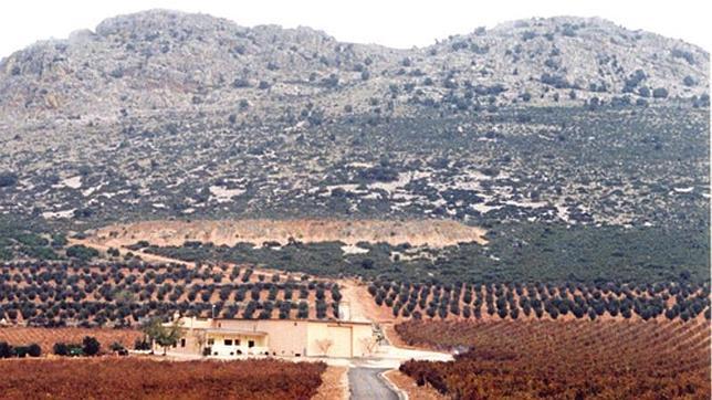 Extensiones de Pago Florentino, en Malagón