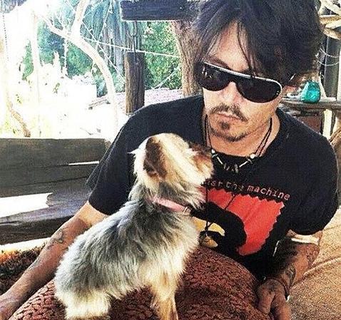 Los perros de Johnny Depp serán ejecutados si no salen de Australia en 48 horas