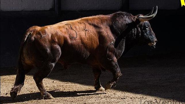 Un «Facilón» abre la corrida de Parladé