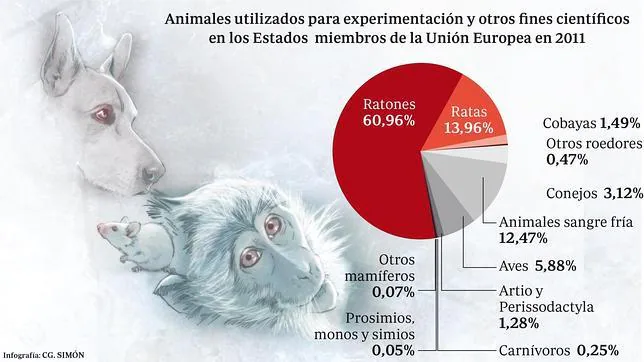Guerra abierta por la utilización de animales en experimentación científica