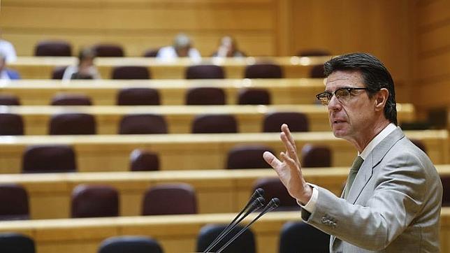 El ministro de Industria, José Manuel Soria, interviene durante una de las interpelaciones, el pasado 12 de mayo en el pleno del Senado