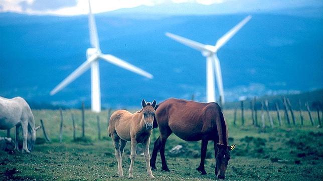 Viento: el sector eólico español cuenta con empresas líderes a nivel mundial