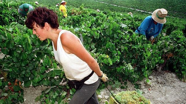 El Senado rechaza una moción contra la violencia machista en el medio rural