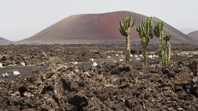 Parque Nacional de Timanfaya