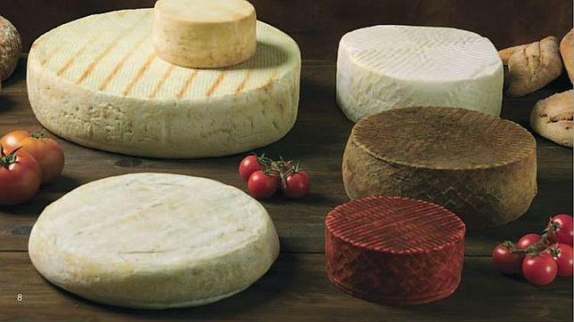 Varios quesos canarios