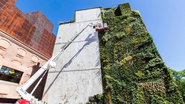 El jardín imposible de CaixaForum muda su piel