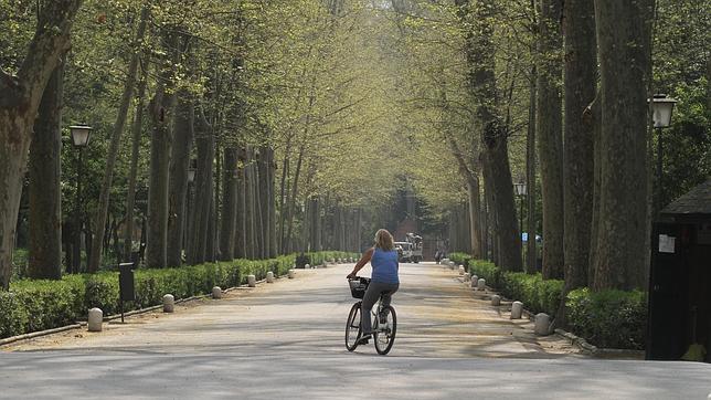 Parajes naturales de Sevilla para ir de picnic