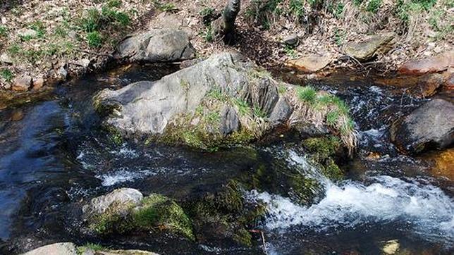 El río de la Puebla acoge infinidad de ríos