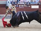 Directo: El Juli indulta al toro Fantasma en su encerrona en Cáceres