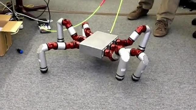 El robot araña ya es una realidad