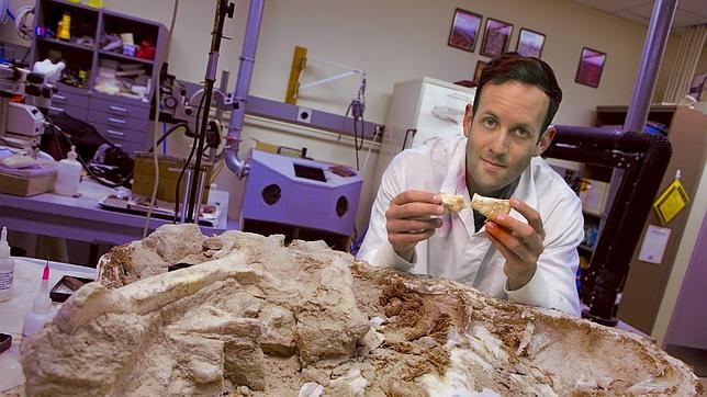 Un nuevo estudio científico apunta que los dinosaurios podrían ser de sangre caliente