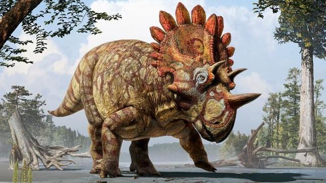 La nueva especie de dinosario llamada Regaliceratops peterhewsi
