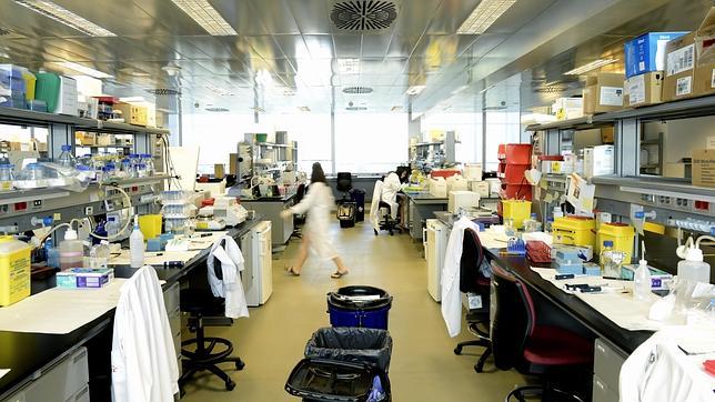 En el CNIC trabajan investigadores básicos con clínicos. En la imagen, la planta de investigación básica