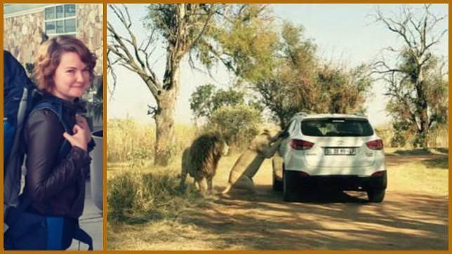 La foto del ataque del león que mató a Katherine Chappel de «Juego de tronos»