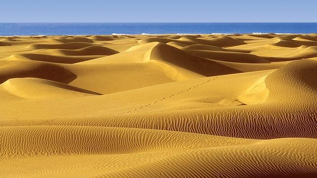 Reserva Natural de las Dunas, en Gran Canaria
